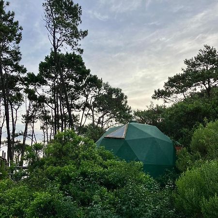 Domosdemar A 100 Mts Del Mar Hotel Ocean Park Kültér fotó