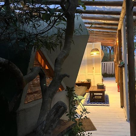 Domosdemar A 100 Mts Del Mar Hotel Ocean Park Kültér fotó