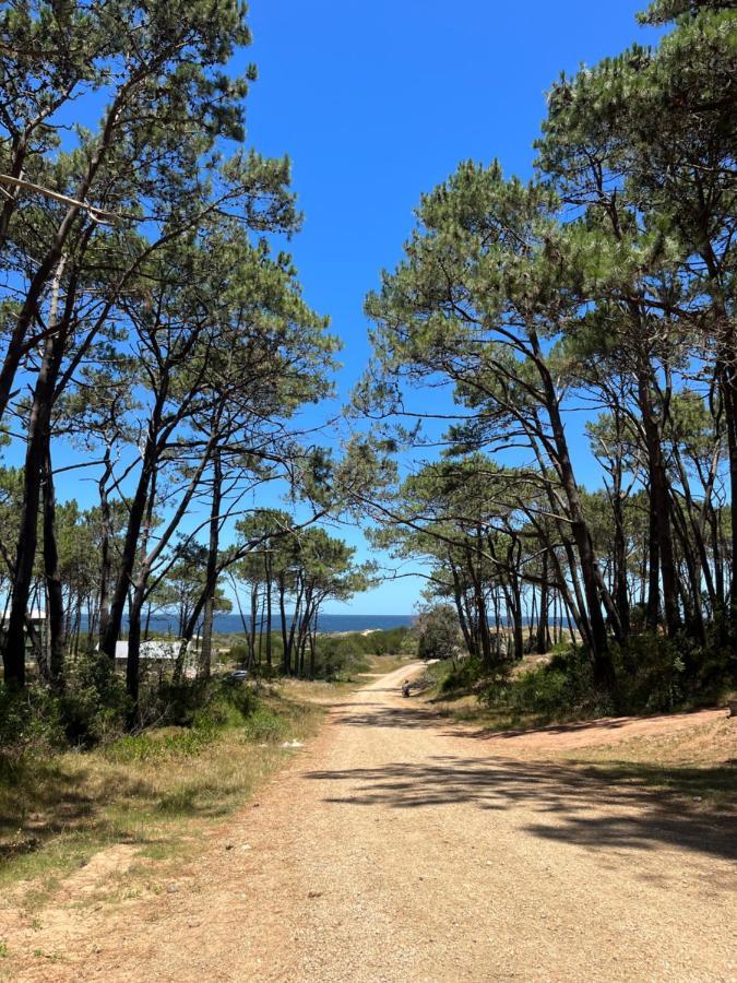 Domosdemar A 100 Mts Del Mar Hotel Ocean Park Kültér fotó
